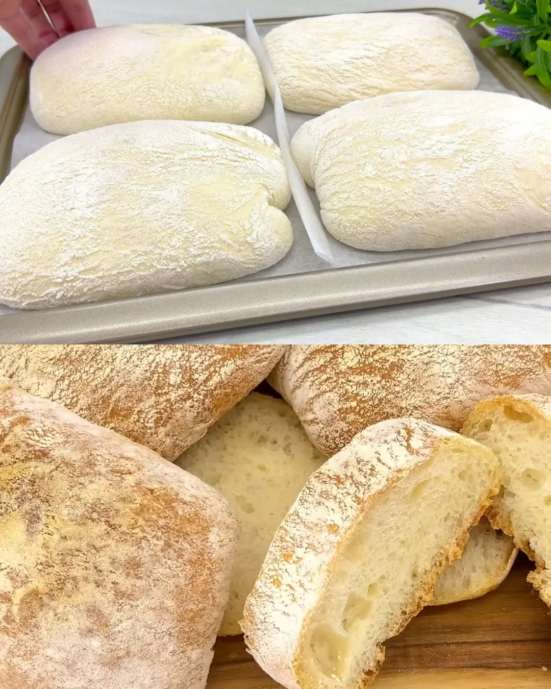 Simple Wheat Bread Recipe